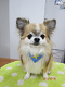 IMG_0577[1]_thumb.png